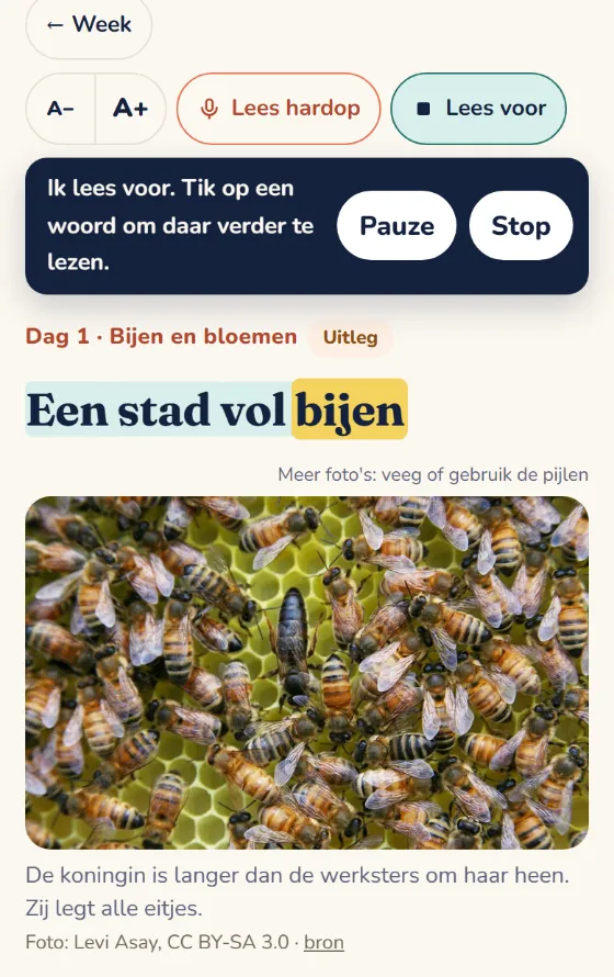Voorlezen: de app leest de tekst Een stad vol bijen voor, met de knoppen Pauze en Stop